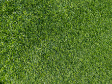 Load image into Gallery viewer, Artificial Grass - Hong Kong Rooftop Party