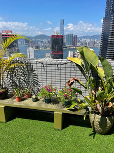Artificial Grass - Hong Kong Rooftop Party